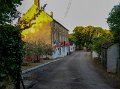 267 foto MVervoorn 2019-06-26 20.57.28